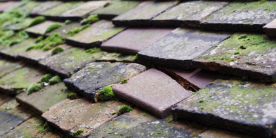 Bracebridge roof repair costs